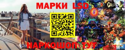 прущие крисы Будённовск