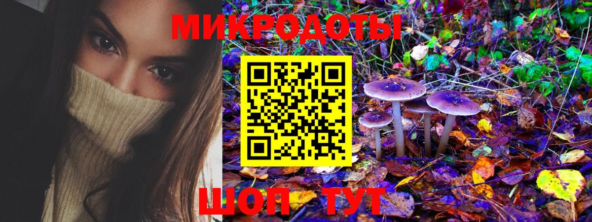 Псилоцибиновые грибы Cubensis Острогожск
